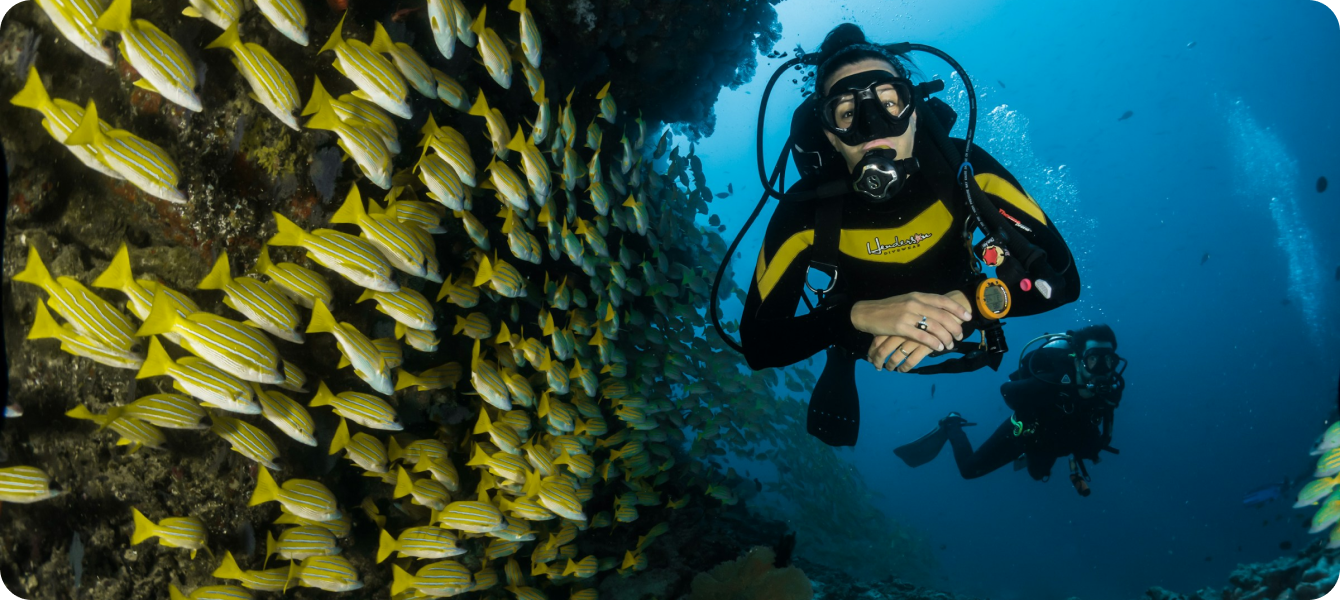 Snorkeling